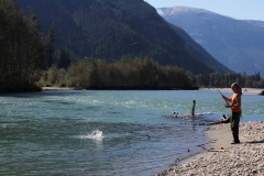 Coho-010