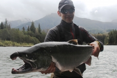 Coho-011