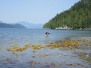 Douglas Channel