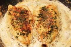 Gourmet-Meals014