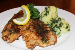 Gourmet-Meals015
