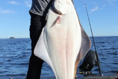 Halibut-Fishing-006