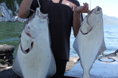 Halibut-Fishing-009