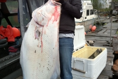 Halibut-Fishing-010