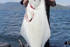 Halibut-Fishing-012