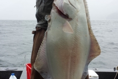 Halibut-Fishing-014