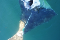 Halibut-Fishing-017