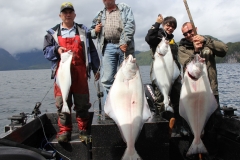 Halibut-Fishing-018