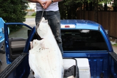 Halibut-Fishing-021