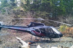 Heli-5