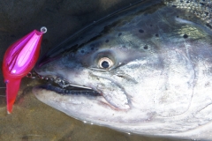 Chinook-Salmon-Fishing-059