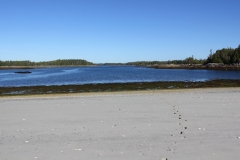 Fishing-Trip011