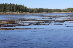 Fishing-Trip016