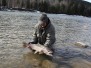 Steelhead Fishing